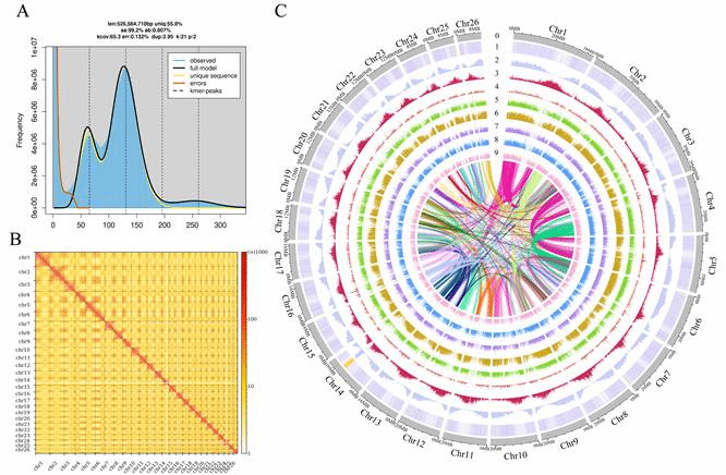 图示, 示意图 AI 生成的内容可能不正确。